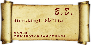 Birnstingl Délia névjegykártya